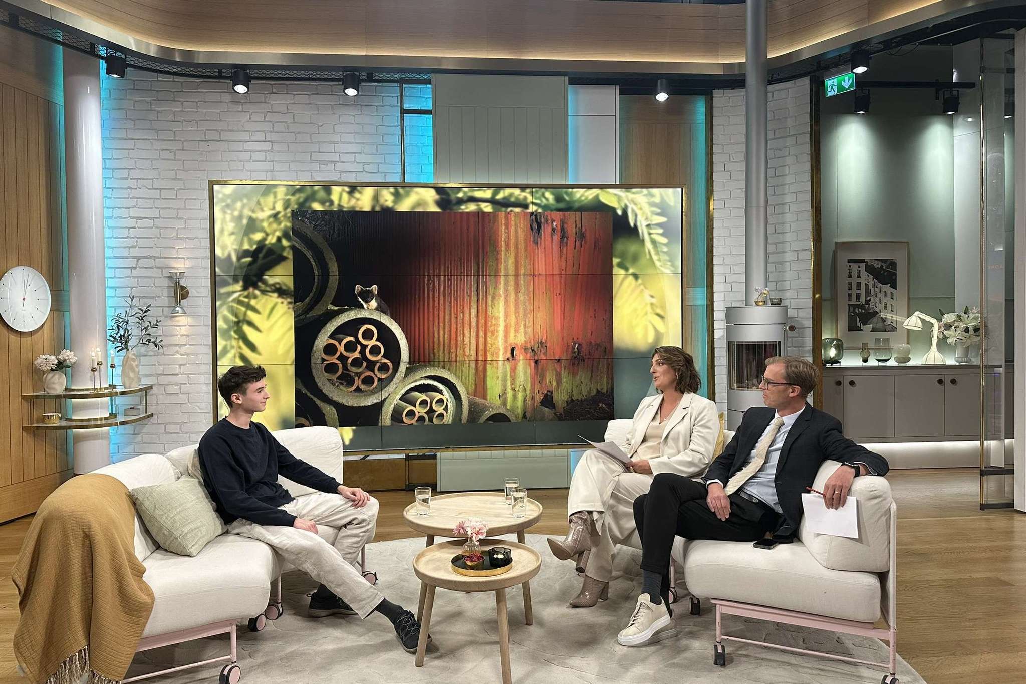 Denat Lahi TV4 Nyhetsmorgon