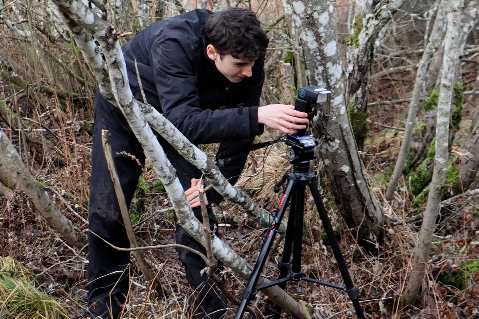 Denat_Lahi_Lodjur_bakom_kulisserna