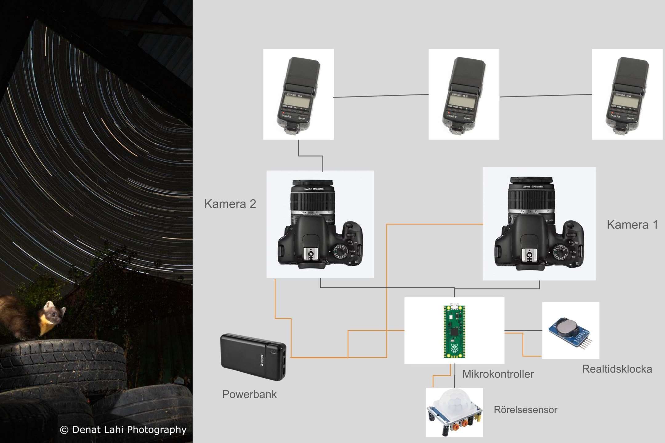 Denat Lahi dives deep into how preparation and advanced technology is used for rare mammal wildlife photography and storytelling to create