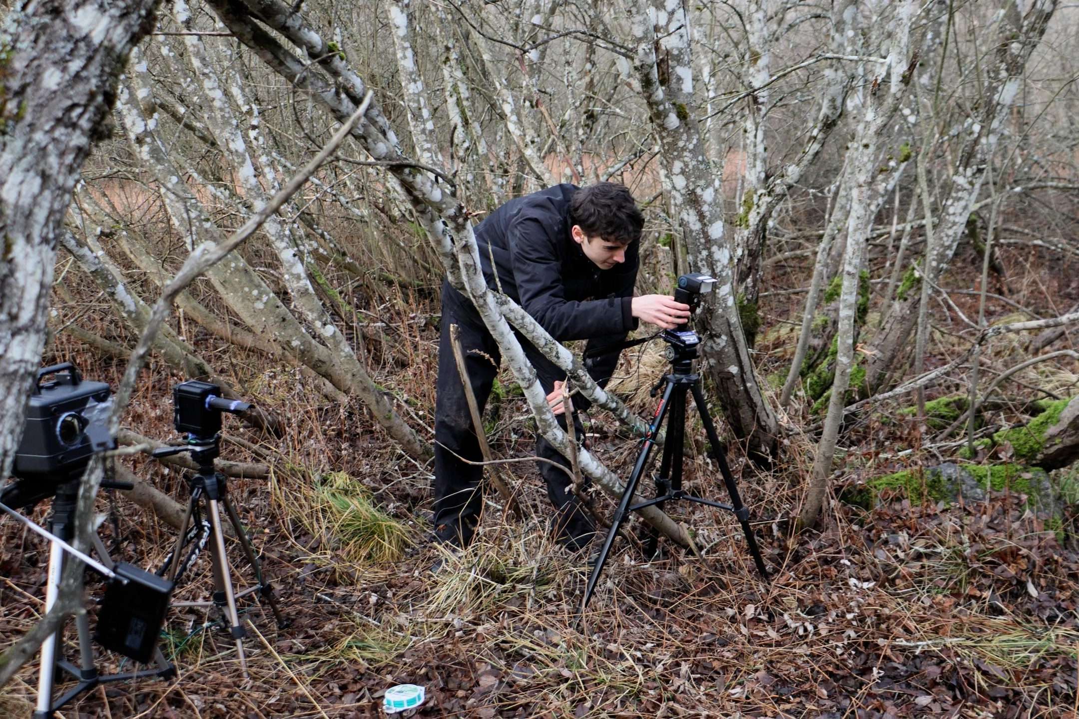 Naturfotograf Denat Lahi riggar en kamerafälla för lodjursfotografering