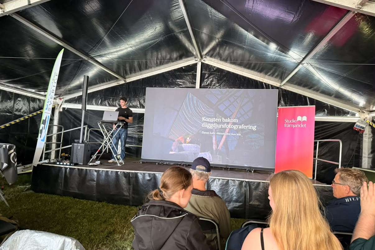 Denat Lahi holds a lecture at Falsterbo Bird Show 2026.